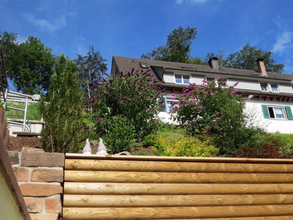 Ferienwohnung Am Kapellenberg - Am Rande Des Nationalparks Schwarzwald Bad Peterstal-Griesbach Luaran gambar