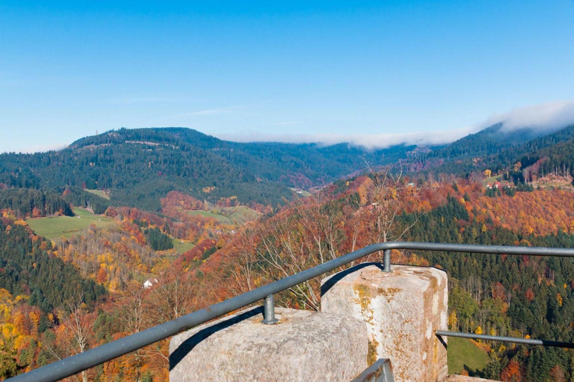 Ferienwohnung Am Kapellenberg - Am Rande Des Nationalparks Schwarzwald Bad Peterstal-Griesbach Luaran gambar