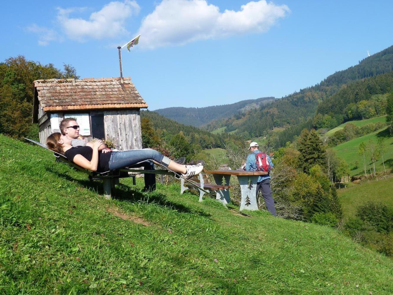 Ferienwohnung Am Kapellenberg - Am Rande Des Nationalparks Schwarzwald Bad Peterstal-Griesbach Luaran gambar