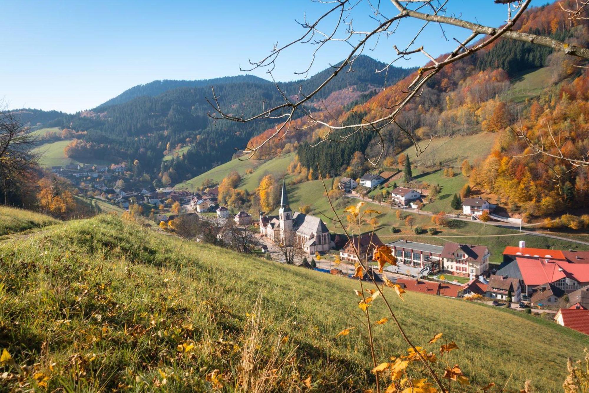 Ferienwohnung Am Kapellenberg - Am Rande Des Nationalparks Schwarzwald Bad Peterstal-Griesbach Luaran gambar