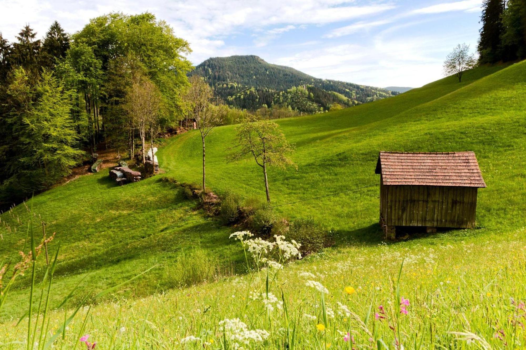 Ferienwohnung Am Kapellenberg - Am Rande Des Nationalparks Schwarzwald Bad Peterstal-Griesbach Luaran gambar